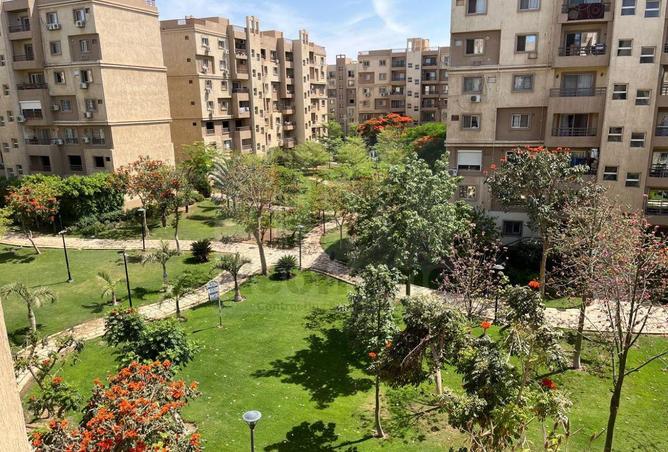 8028913 - صورة العقار 2