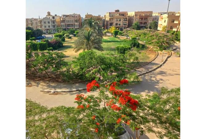 8404150 - الصورة الرئيسية للعقار