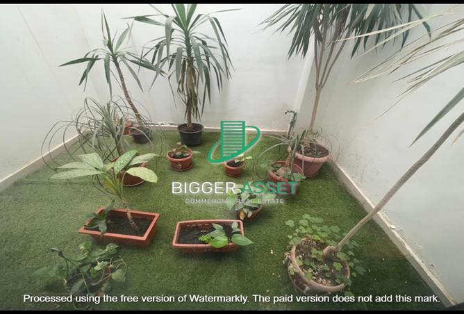 7991754 - Property Image 2
