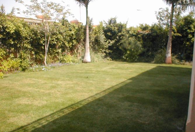 8304973 - صورة العقار 2