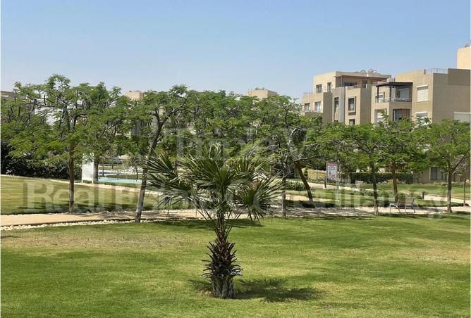 8208070 - صورة العقار 3