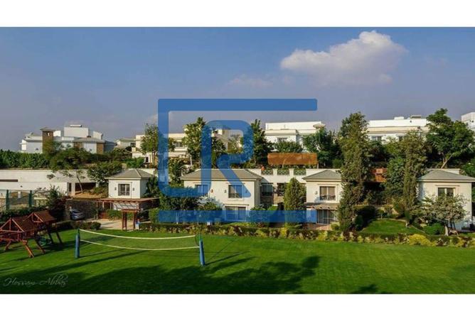 7997381 - Property Image 3
