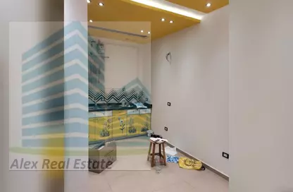 Office Space - Studio - 1 Bathroom for rent in Victor Emanuel Al Thaleth St. - Smouha - Hay Sharq - Alexandria