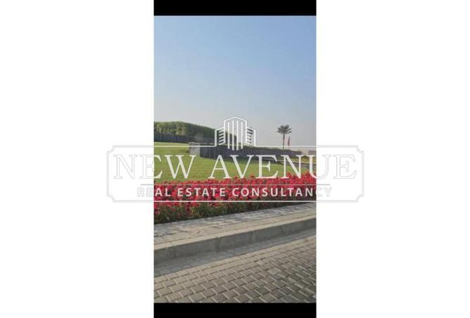 8205013 - Property Image 3