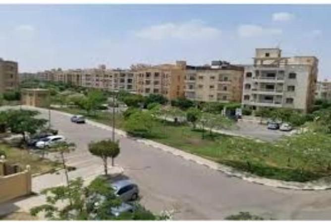 7972715 - صورة العقار 3