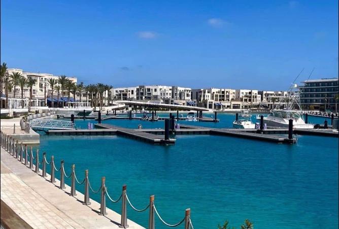 7905789 - صورة العقار 3