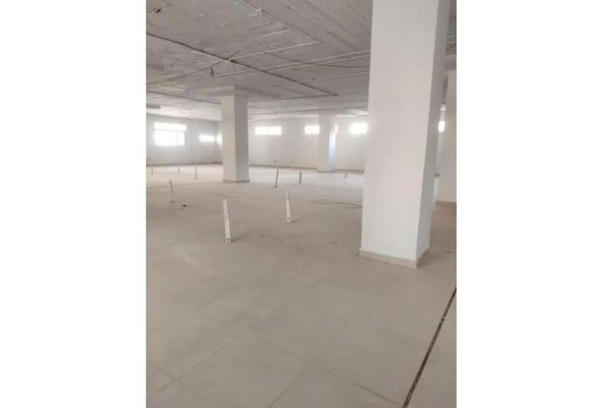 8150508 - صورة العقار 3