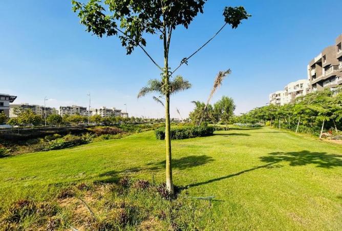 8452740 - صورة العقار 2