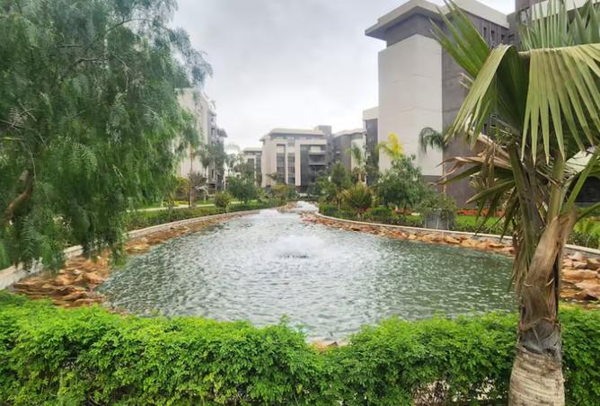 8554639 - Property Image 3