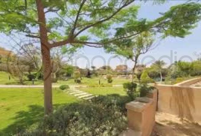 8358126 - Property Image 3