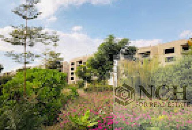 8291498 - صورة العقار 3