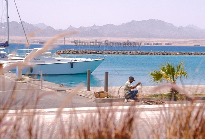 8212177 - Property Image 3