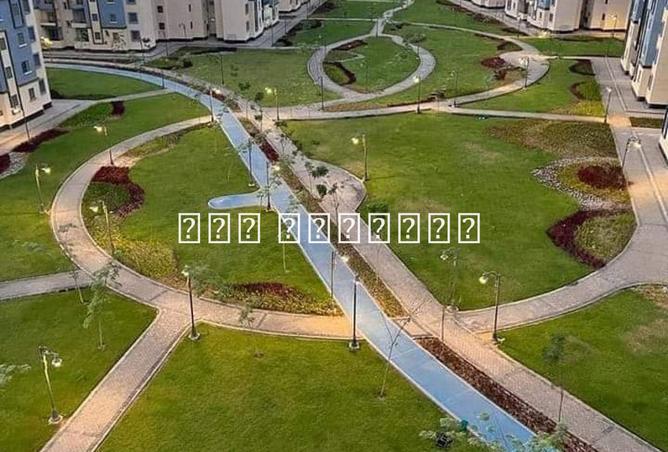 7800469 - صورة العقار 2