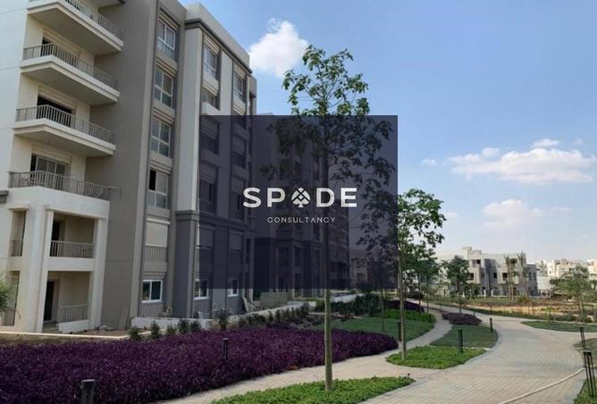 8437491 - Property Image 3