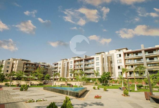 8378249 - Property Image 3