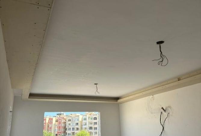 8427612 - Property Image 2