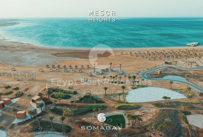 8536885 - Property Image 2