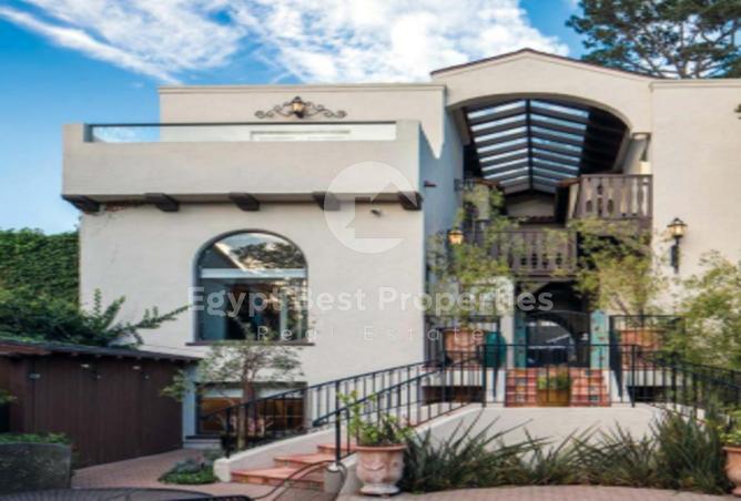 8173017 - صورة العقار 3