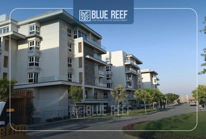 8496735 - Property Image 3