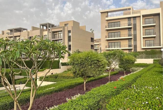 8334169 - Property Image 3