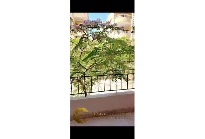 8263812 - Property Image 2