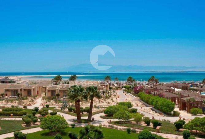 8175869 - الصورة الرئيسية للعقار