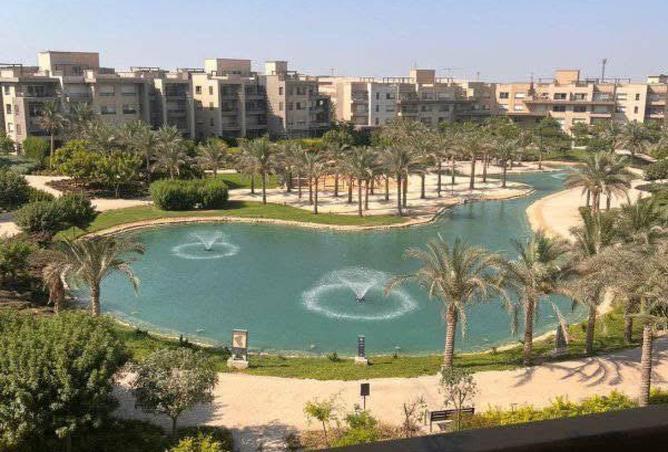 8264746 - صورة العقار 2