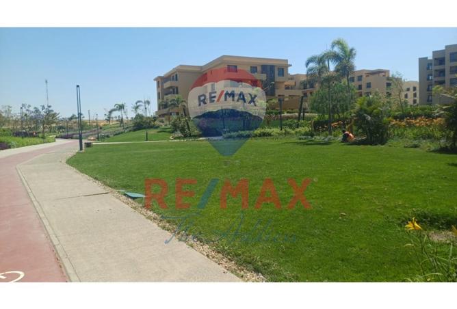 8434227 - Property Image 3