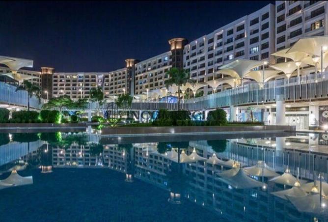 8328391 - Property Image 3