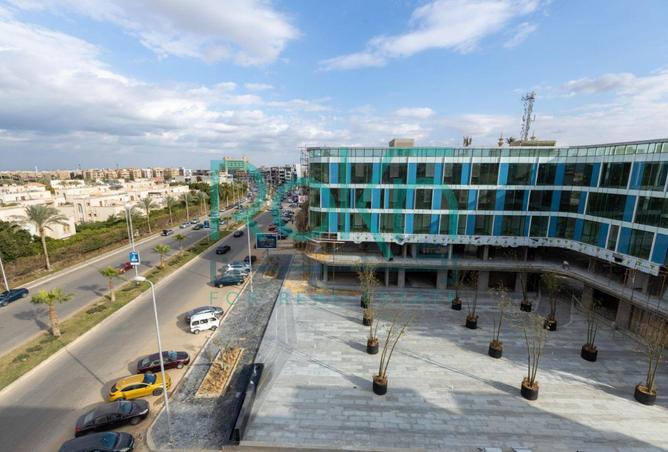 7905481 - Property Image 2