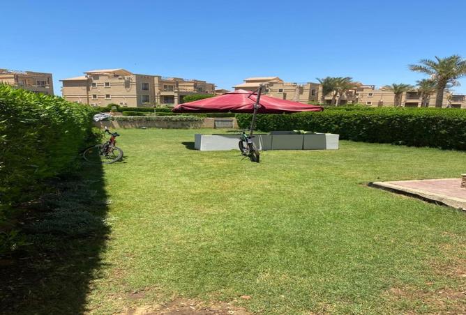 7916883 - الصورة الرئيسية للعقار