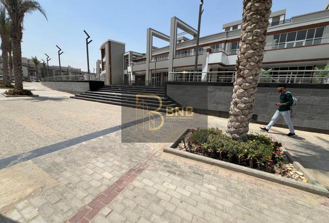 8200696 - Property Image 3