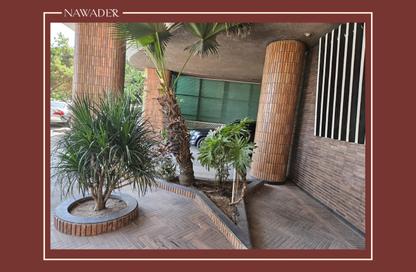 Apartment - 3 Bedrooms - 3 Bathrooms for rent in Zamalek - Cairo