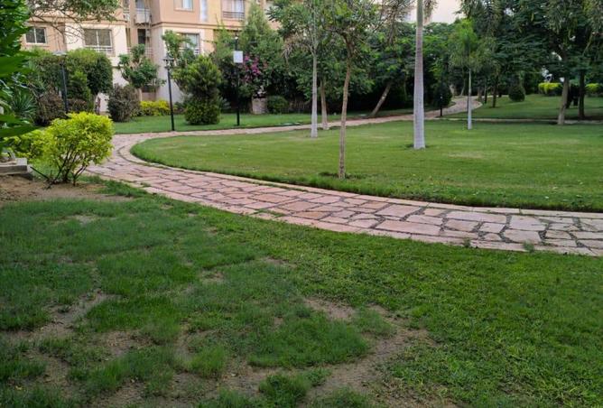 8164346 - Property Main Image