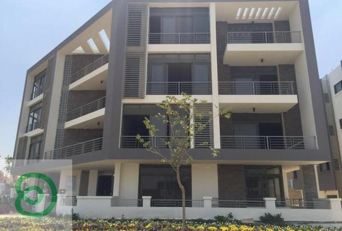 8452474 - Property Image 3