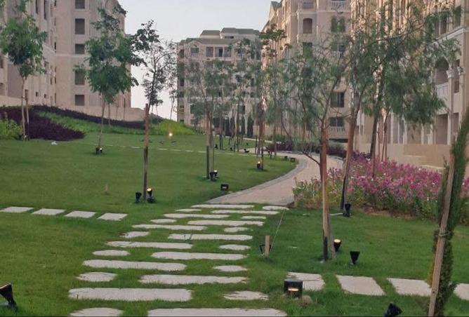 8429370 - Property Main Image