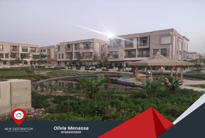 8016595 - Property Image 3