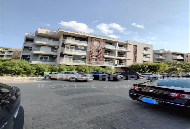7969391 - صورة العقار 3