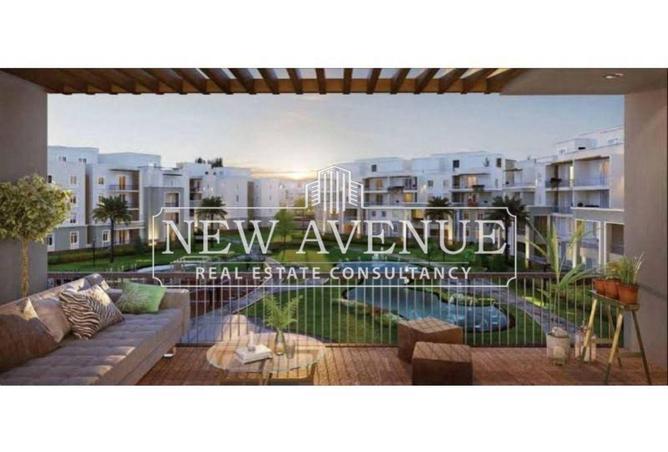 8264218 - صورة العقار 3