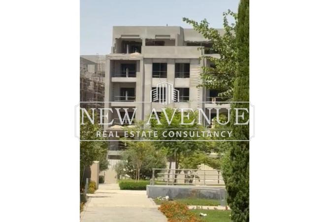 8245421 - Property Image 3