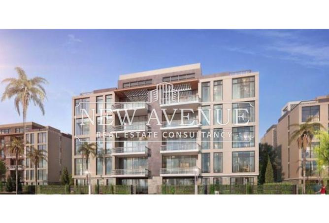 8343816 - Property Image 3