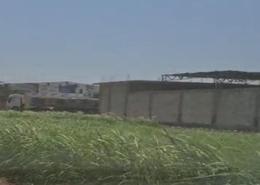 Land for للبيع in Alexandria Agriculture Road - El Rabaa El Nasrya - Hay Sharq - Alexandria