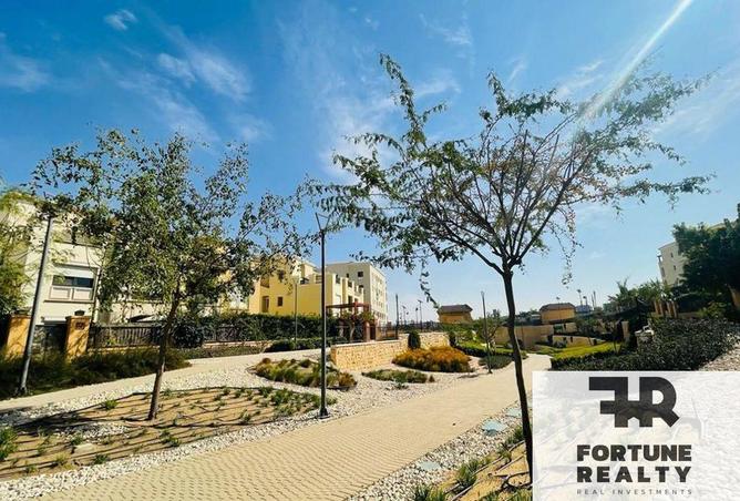 8384573 - Property Image 3