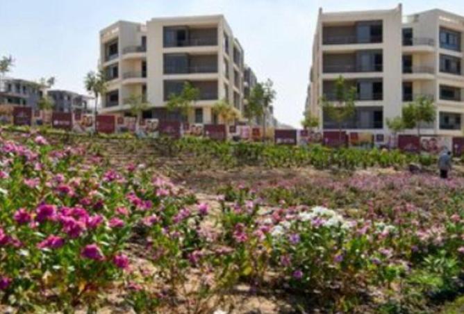 8177699 - الصورة الرئيسية للعقار