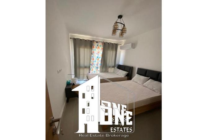 8126791 - Property Image 2
