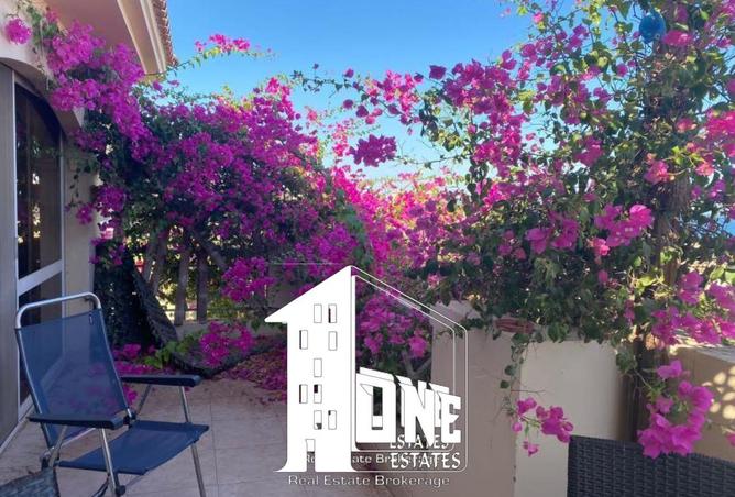 8416443 - Property Image 3