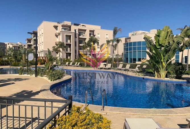 8262542 - Property Image 3