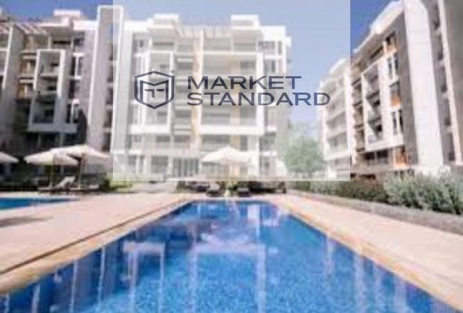 8433912 - Property Image 3