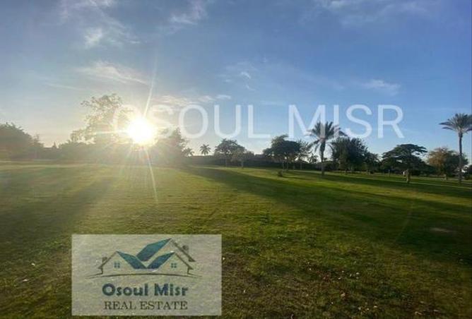 7986936 - Property Image 3