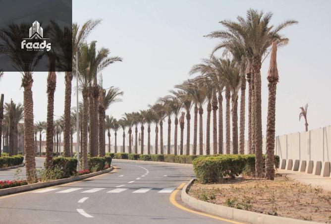 7758150 - صورة العقار 3